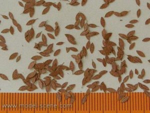 Model Scene L3-205 Universal dry leaves 1/35