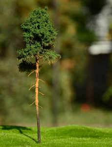 FREON SOM2 Young pine - Sosna młoda 14/16cm