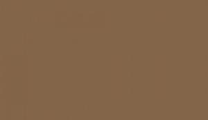Lifecolor UA478 - Isonzo Braun 22ml