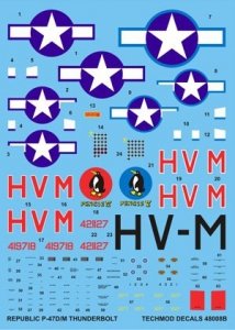Techmod 48008 - Republic P-47D/M Thunderbolt (1:48)
