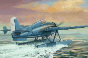 Hobby Boss 81729 US F4F-3S Wildcatfish (1:48)