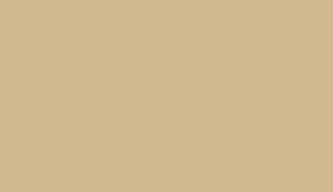 Lifecolor UA475 - Light Tan 22ml