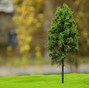 FREON MPW4 Larch - Modrzew pień wysoki (lesny) 25/28cm