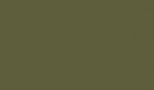 Lifecolor UA470 - Extra Dark Green 22ml