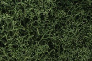 Woodland Scenics WL163 Lichen - Medium Green 1.4L
