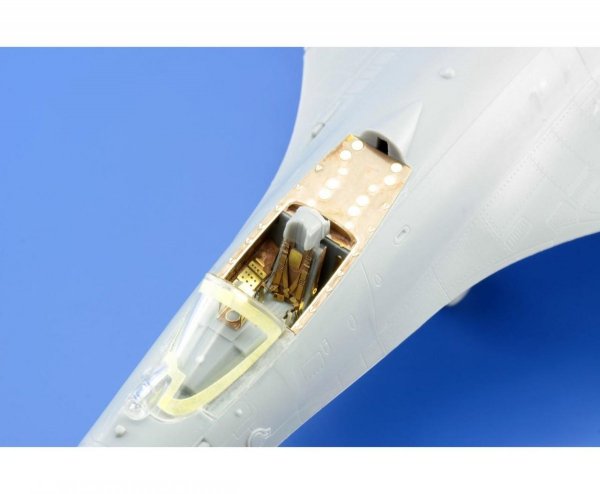 Eduard SS548 Su-33 interior TRUMPETER 1/72
