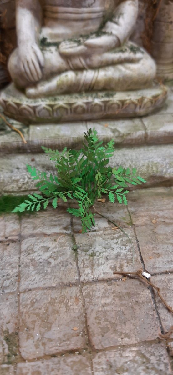 RT-Diorama 35618 Fern No.1 1/35