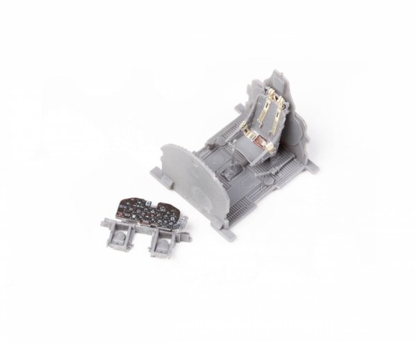 Eduard 3DL48254 P-47D Razorback SPACE MINIART 1/48