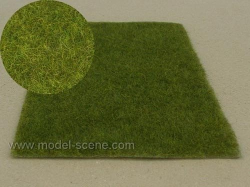 Model scene F011 Wetland middle