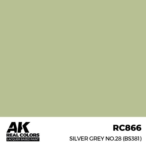 AK Interactive RC866 Silver Grey No.28 (BS381) 17 ml