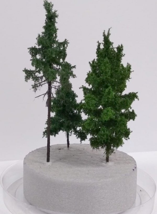 FREON MD - Mikrodrzewa zestaw 3 szt - wysokość 5-8 cm