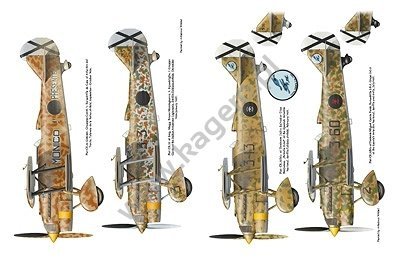 Kagero 12022 Crickets against Rats. Regia Aeronautica in the Spanish Civil War 1936-1937 vol. I EN