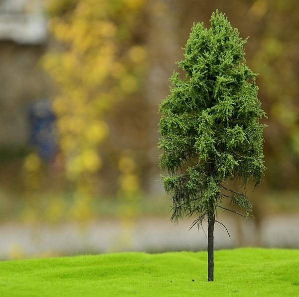 FREON MPW4 Larch - Modrzew pień wysoki (lesny) 25/28cm
