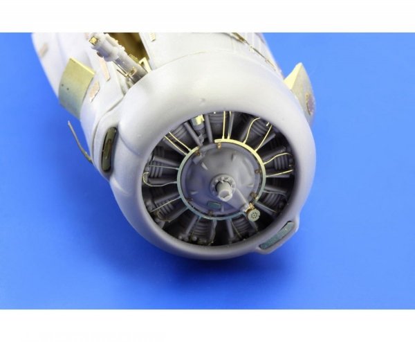 Eduard 49601 T-28 S. A. RODEN 1/48