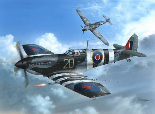 Special Hobby 48128 Supermarine Seafire Mk.III D-Day Fleet Eyes (1:48)