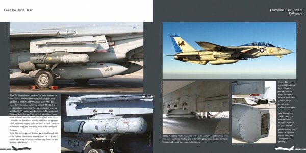 HMH Publications DH-037 Grumman F-14 Tomcat - Aircraft in Detail 037 (English Version)