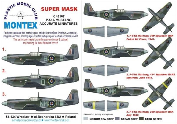 Montex K48167 P-51A Mustang 1/48