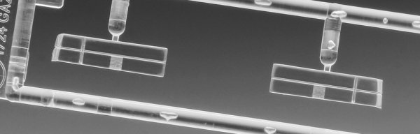 Hasegawa 20771 Nissan Gazelle (S110) Late Version HT Trubo XE (1981) 1/24