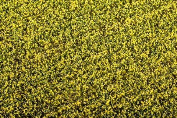 Model Scene F450 Grass Mat - Rape Field 1/35