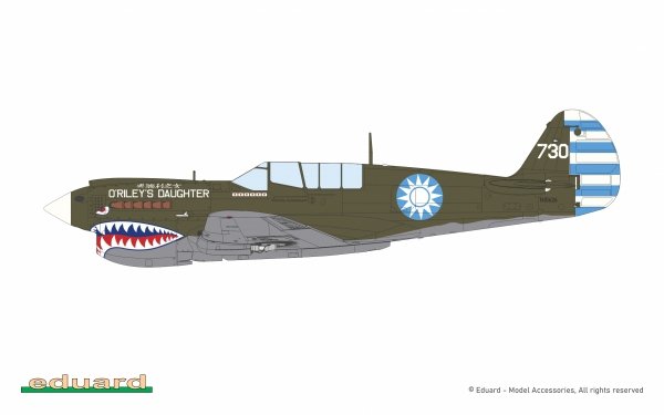 Eduard 11193 15,000th P-40N Warhawk 1/48