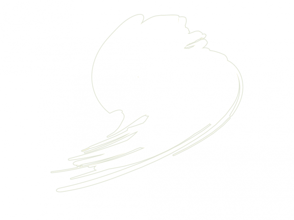Hataka HTK-B101 Traffic White (RAL 9016)
