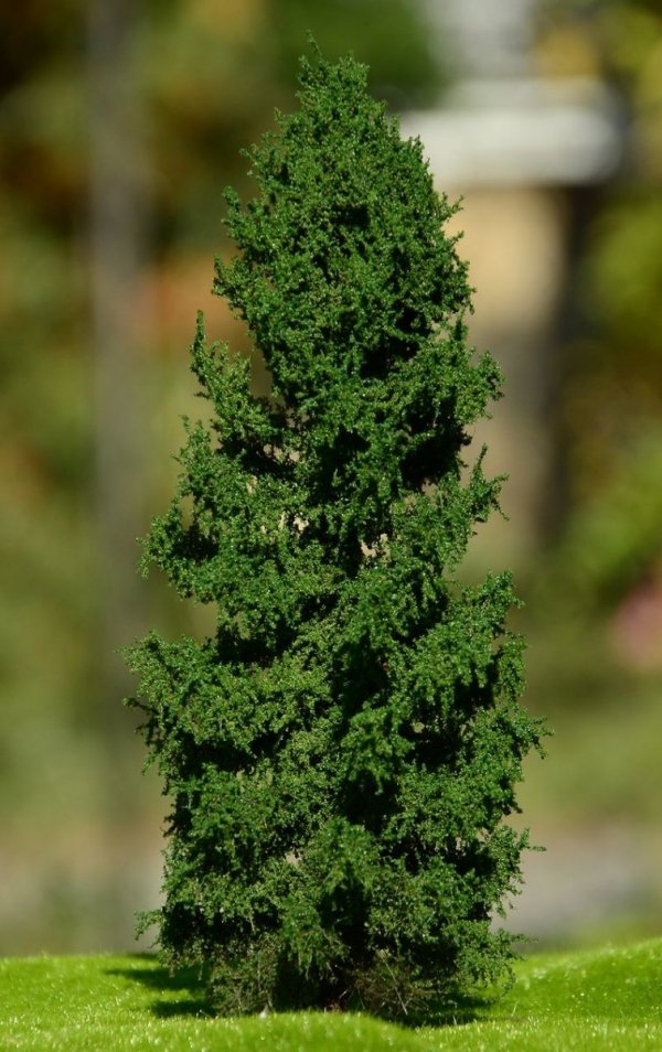 FREON MPN2 Larch - Modrzew pień niski (Pełny) 14/16cm