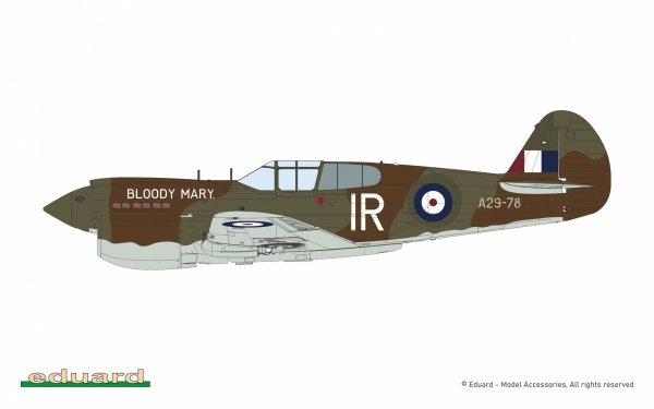 Eduard 11185 Pacific Star P-40E Warhawk - The Limited Edition 1/48
