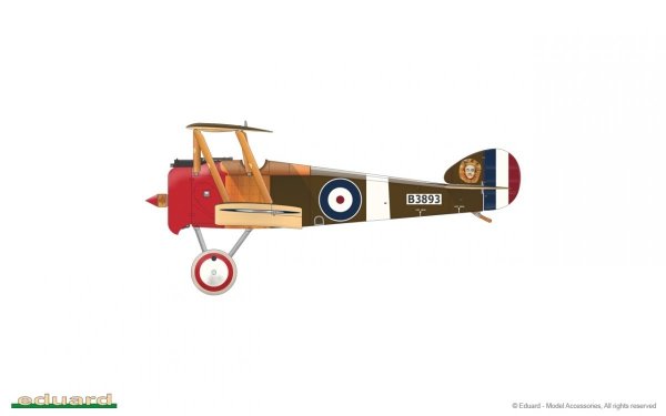 Eduard 11151 Camel &amp; Co. 1/48