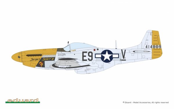 Eduard 11196 North American P-51 D Mustang - Mighty Eight (4th FG, 355th FG, 361st FG and 479th FG Decals) 1/48
