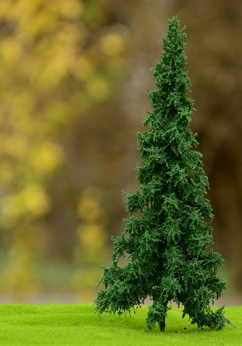 FREON SWI2 Norway spruce - Świerk Pospolity pień niski (pełny) 14-16cm
