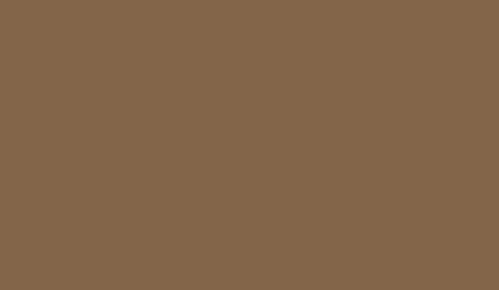 Lifecolor UA478 - Isonzo Braun 22ml