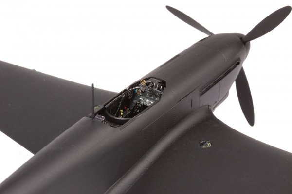 Eduard BIG49351 Yak-9D ZVEZDA 1/48