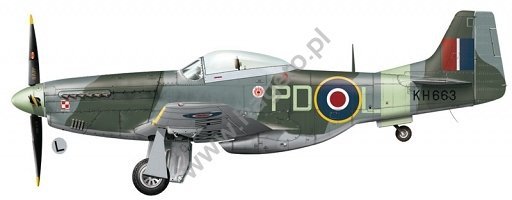 Kagero KD48003 Mustangs over Europe Part 1 Nos. 303 &amp; 309 Squadrons 1/48