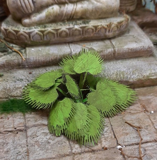 RT-Diorama 35616 Jungle Plant No.6 1/35