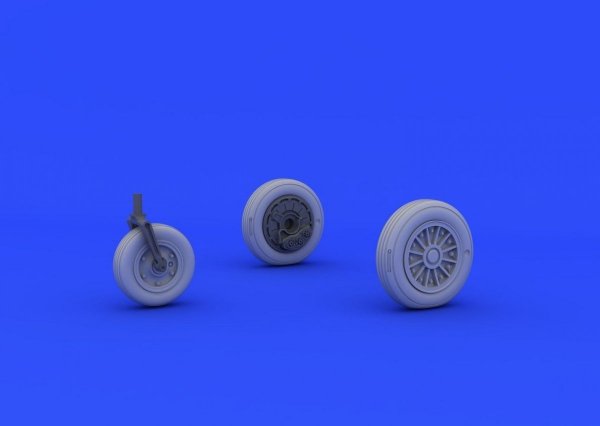 Eduard 648213 A-4E wheels early 1/48 (EDUARD, HASEGAWA)