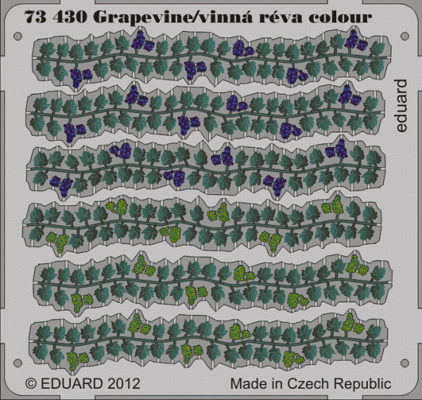 Eduard 73430 Grapevine colour 1/72