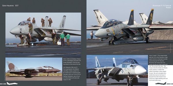 HMH Publications DH-037 Grumman F-14 Tomcat - Aircraft in Detail 037 (English Version)