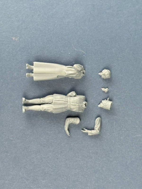 Copper State Models F32-068 French officer - Farewell 1/32