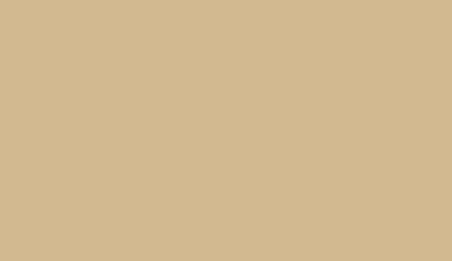 Lifecolor UA475 - Light Tan 22ml