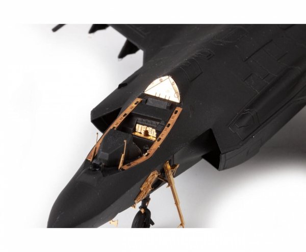 Eduard 73852 F-35A REVELL 1/72