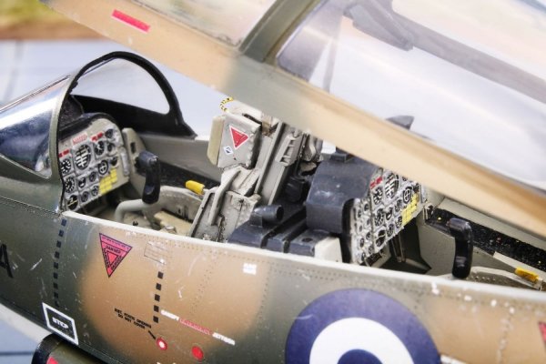 Special Hobby 32087 T-2 Buckeye Anniversary Markings 1/32
