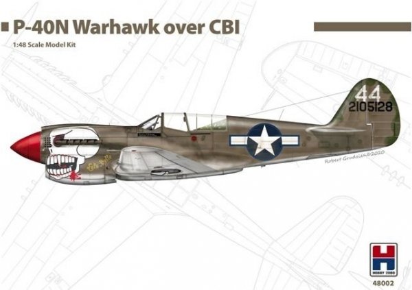 Hobby 2000 48002 P-40N Warhawk Over CBI ( China, Burma, India ) 1/48