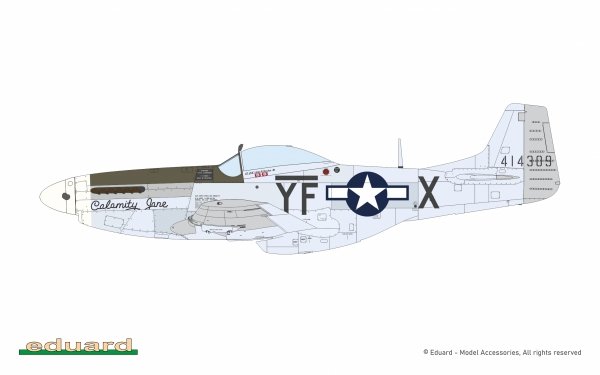 Eduard 11196 North American P-51 D Mustang - Mighty Eight (4th FG, 355th FG, 361st FG and 479th FG Decals) 1/48