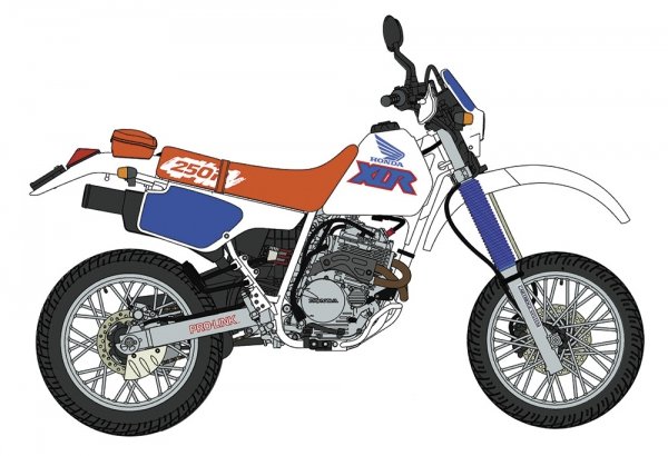 Hasegawa 21779 Honda XLR250R (MD22) (1991) "Motard Custom" 1/12