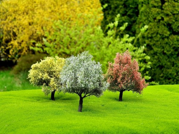 FREON DW2 Kwitnące drzewa - zestaw 3 sztuki / Flowering trees - set of 3 pieces