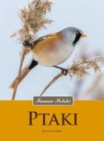 Ptaki Fauna Polski