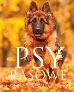 Psy rasowe Rasy hodowane w Polsce oprawa twarda