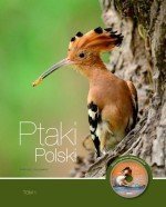 Ptaki Polski tom 1 + Płyta z nagraniami głosów ptaków