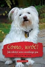 Como wróć Jak zdobyć serce nieufnego psa