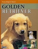 Golden Retriever /REA